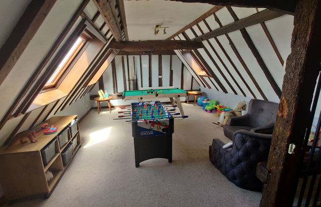 Birds Farm - Foto 44