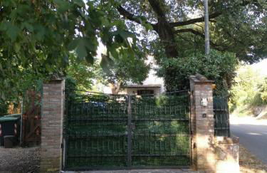 Vacanza nel boschetto - Foto 6