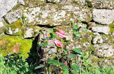 Vive una escapada rural con alma, cerca de todo y lejos del ruido - Foto 75