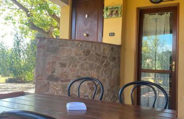 Agribike Agriturismo Poggio Rossino - Foto 21