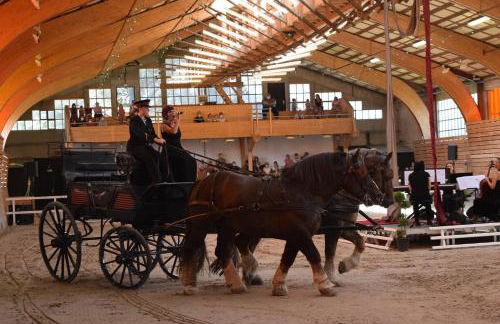 Lamballe plein centre, superbe appartement 1er étage - Photo 13