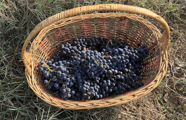 La Capannaccia - Foto 22