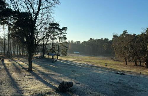 Wildpark Johannismühle - Foto 10