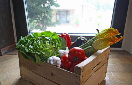 AGRITURISMO VICOLABATE - Foto 24