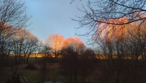 Familienhotel Brandtsheide - Foto 4