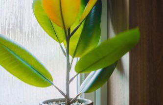 JW Executive ApartHouse 2 - Foto 31