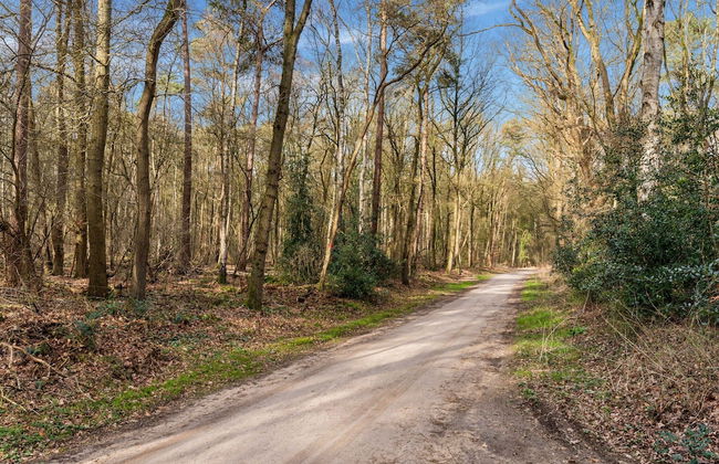 Holiday Home in Hellendoorn Near Forest - Foto 33