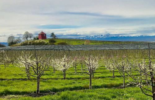 Haus Am Apfelweg - Foto 14