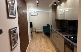 Nowa Dzielnica Cztery Apartamenty przy Tężni - Foto 51