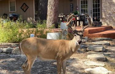 Hidden Haven - Foto 10