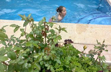 PARADISE GARDEN - Photo 69