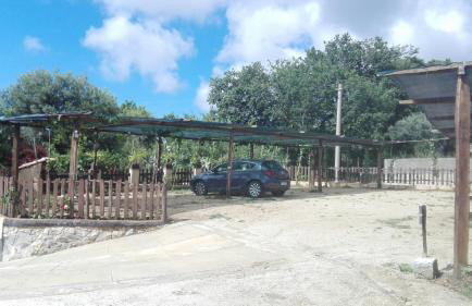 Agriturismo Casa del Contadino - Photo 63