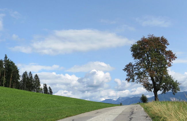 Beautiful Apartment Near Worthersee - Photo 28