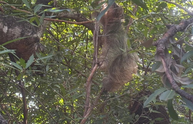 Destino Hotel & Hot Spring - Foto 76