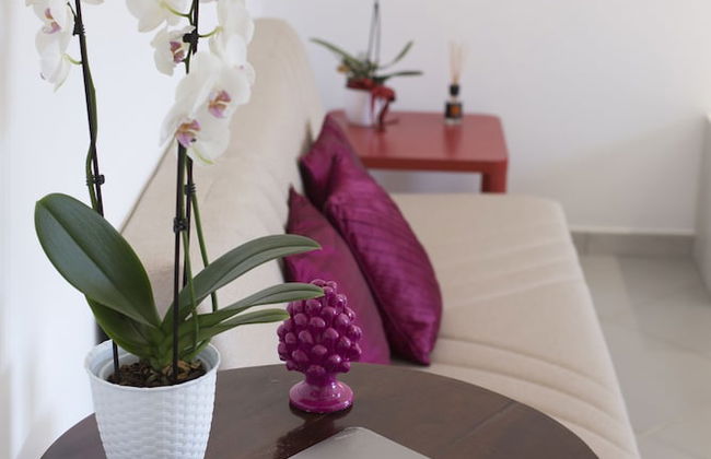 Sofia flora - Photo 69