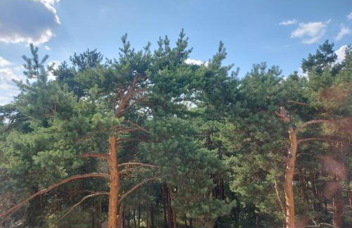 Apartament Black Glamour 728-828-835 - Foto 24