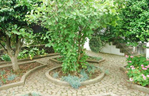 Quinta dos Figos "5 Trevos GOLD" - Photo 3