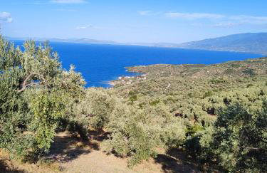 erofili apartments - Photo 51