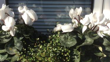 Messewohnung Düsseldorf-Nord - Foto 2