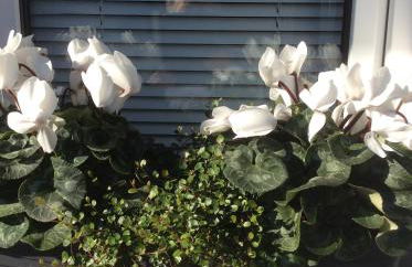 Messewohnung Düsseldorf-Nord - Foto 2