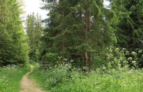 Au Coeur de Prémanon - Foto 42