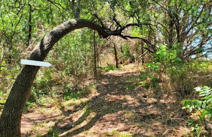 The Tiny 'Tainer - Tiny Container Home w. Hot Tub! - Foto 25