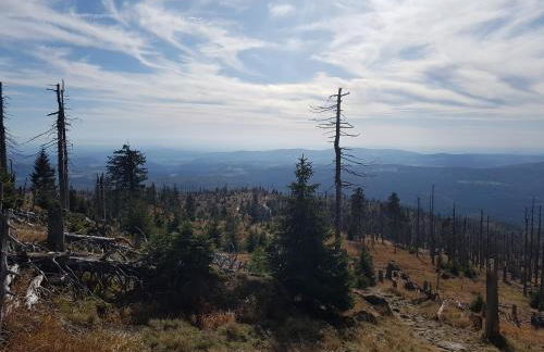 Ferienhaus Tonihof - Foto 61