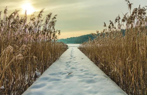 Dom Mazurski - Foto 33