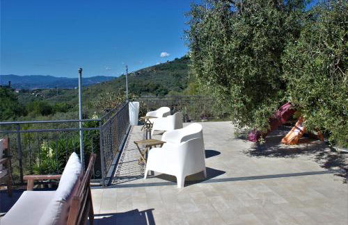 Fattoria Cristina - Fenice - Foto 8