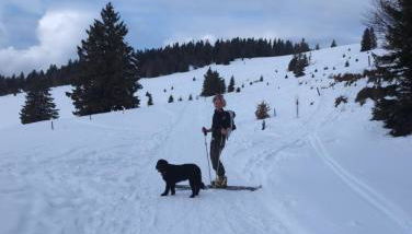 HAUS AM SEE - Natur Pur - Foto 4