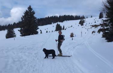 HAUS AM SEE - Natur Pur - Foto 4