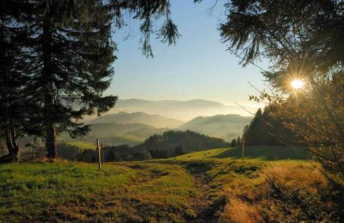 Gemütliche Ferienwohnung im Schwarzwald - Photo 38