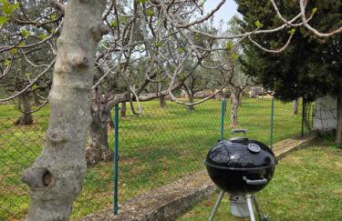 Studio Apartment Ceca*** - Photo 23