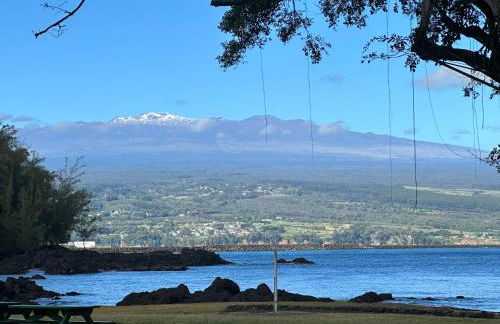 Direct Oceanfront Mauna Loa Shores Honu Elua #508 next to Carlsmith Beach park, Hilo HI - Foto 9
