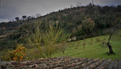 Agriturismo Monterone - Foto 4