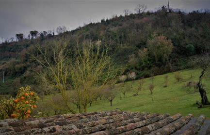 Agriturismo Monterone - Foto 4