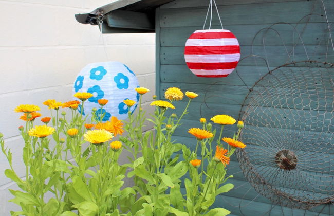 The Cherries - Photo 29