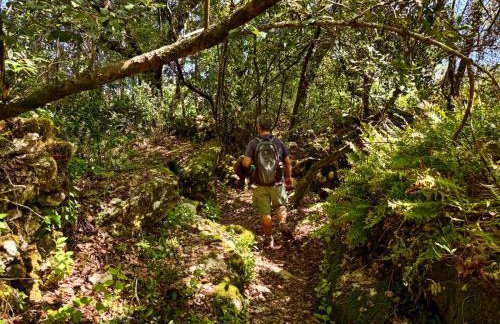 Casa da Curva - Foto 44