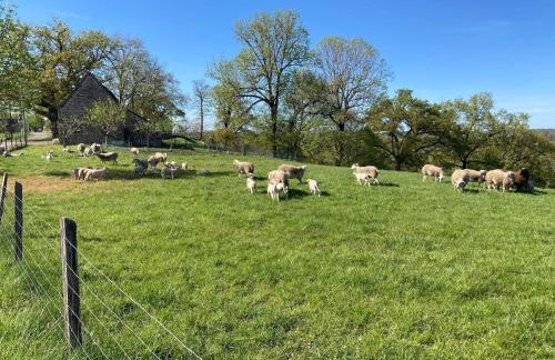 Gîte L'establou Lissacoise - Foto 13