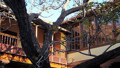 La Laguna, Tangana y Santa Cruz desde Puerto de la Cruz - Foto 2