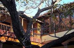 La Laguna, Tangana e Santa Cruz de Puerto de la Cruz - Foto 2