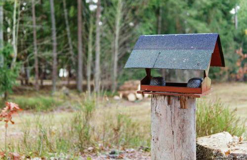 Ferienhaus am Neubäuer See - Foto 27