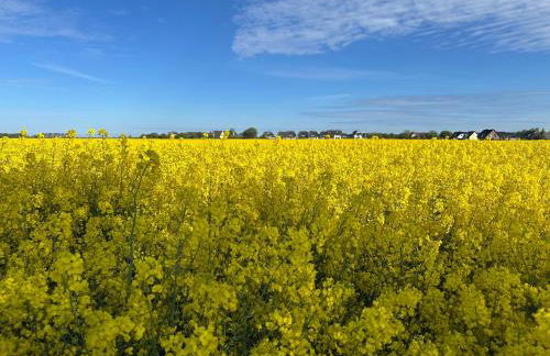 Reethaus Nordlicht - Wellness mit Meerblick - Foto 39