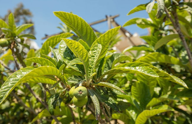 Splendid Views from a Cozy Cottage with a Garden Terrace - Foto 46