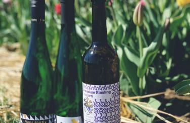 Ferienhaus Moritz - Foto 17