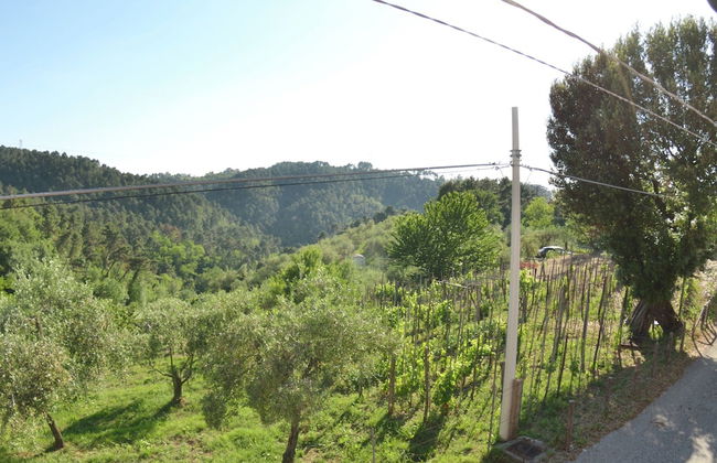 Casale on the Hills Between Lucca and the Sea, With Garden and Swimming Pool - Photo 23
