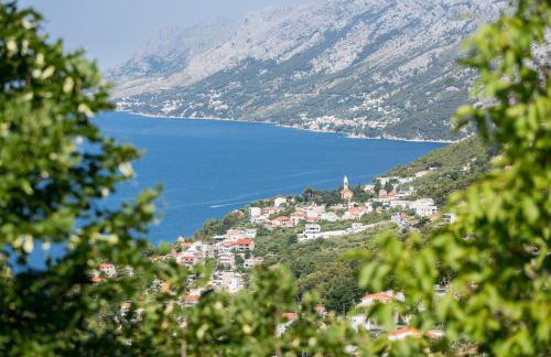 Sedra Home - Foto 63