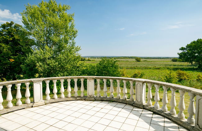 10 bedroom House in Fonyód with private pool and garden - Photo 7