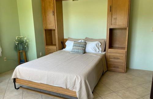 Tucson Mnt Foothills Saguaro Bliss - Foto 21