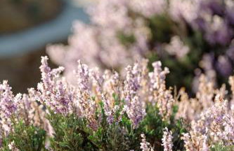 On The Rocks Villas Ios - Foto 69